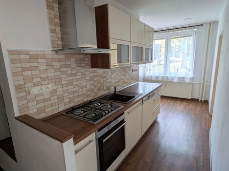 Pronájem 3+1 Přítelství (JIH) Písek