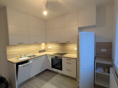 Pronájem 3+kk a garáže Chrášťany